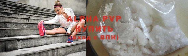 амф Бородино