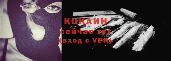 амф Бородино