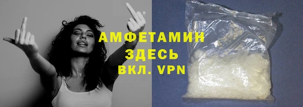 амф Бородино