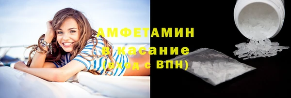 амф Бородино
