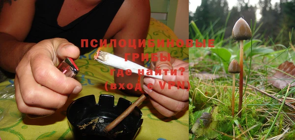 трава Бугульма