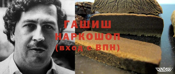 амф Бородино