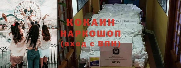 амф Бородино
