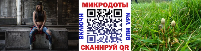 где можно купить наркотик  Новочеркасск  Галлюциногенные грибы Psilocybine cubensis 